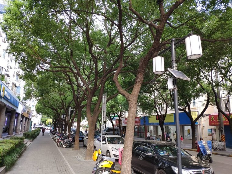 上海民主街实景图 上海民主街实景图