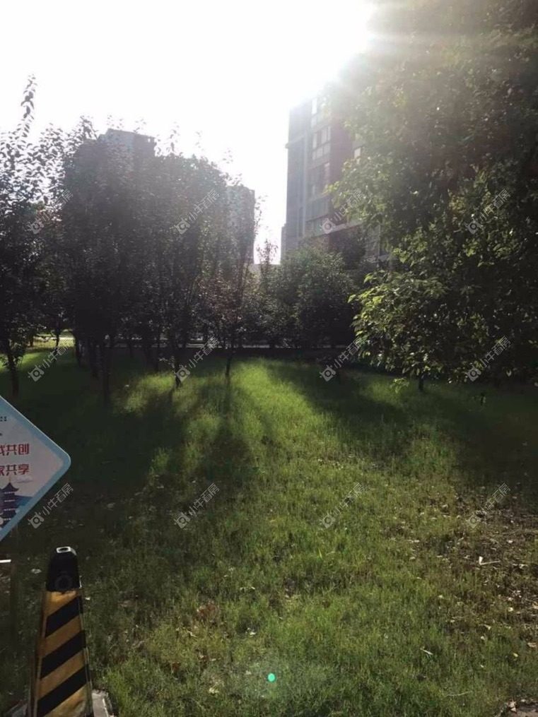上海永翔佳苑东区实景图